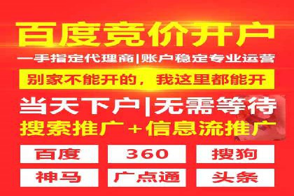 抖音信息流广告的投放策略与成功案例分析